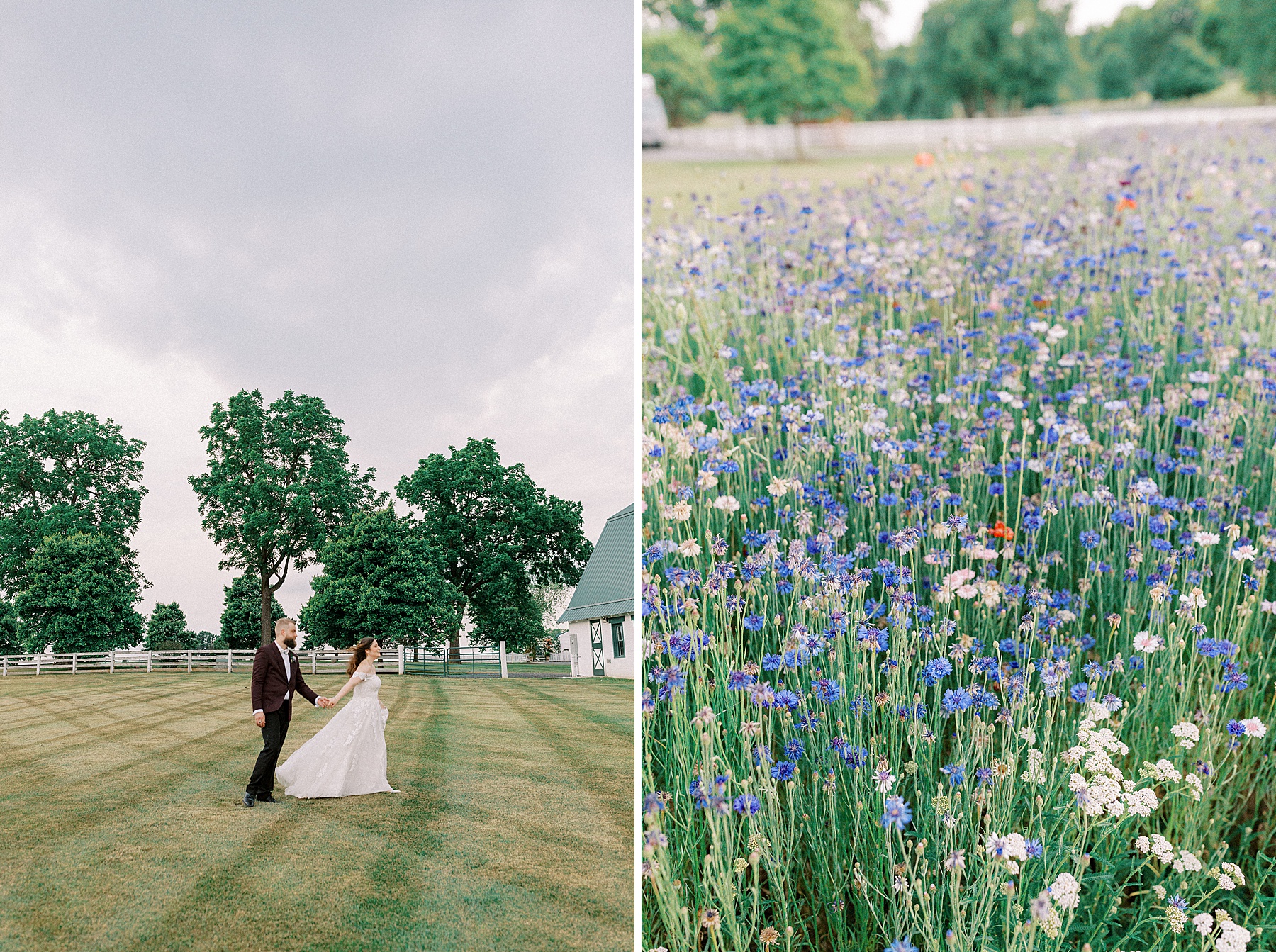 wildflower field wedding photo 