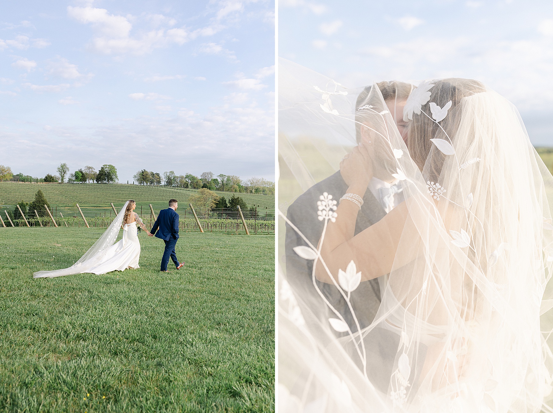 vineyard wedding leesburg photographer