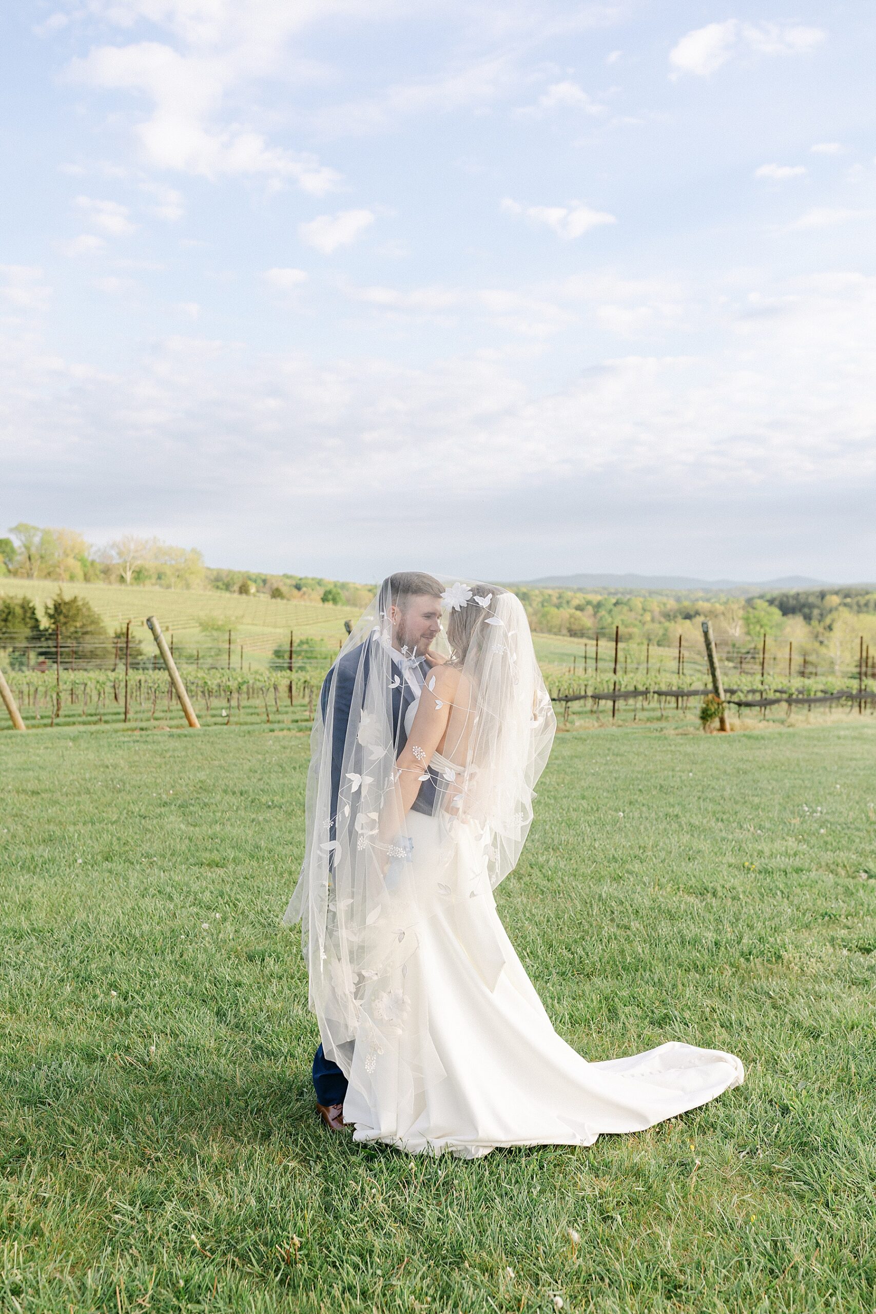 vineyard wedding leesburg photographer