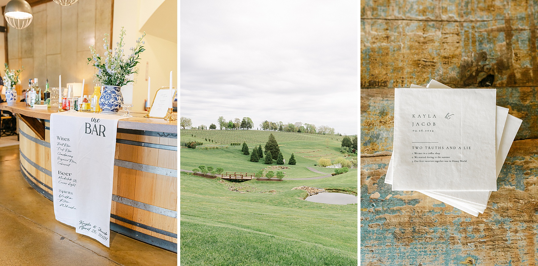 vineyard wedding leesburg photographer