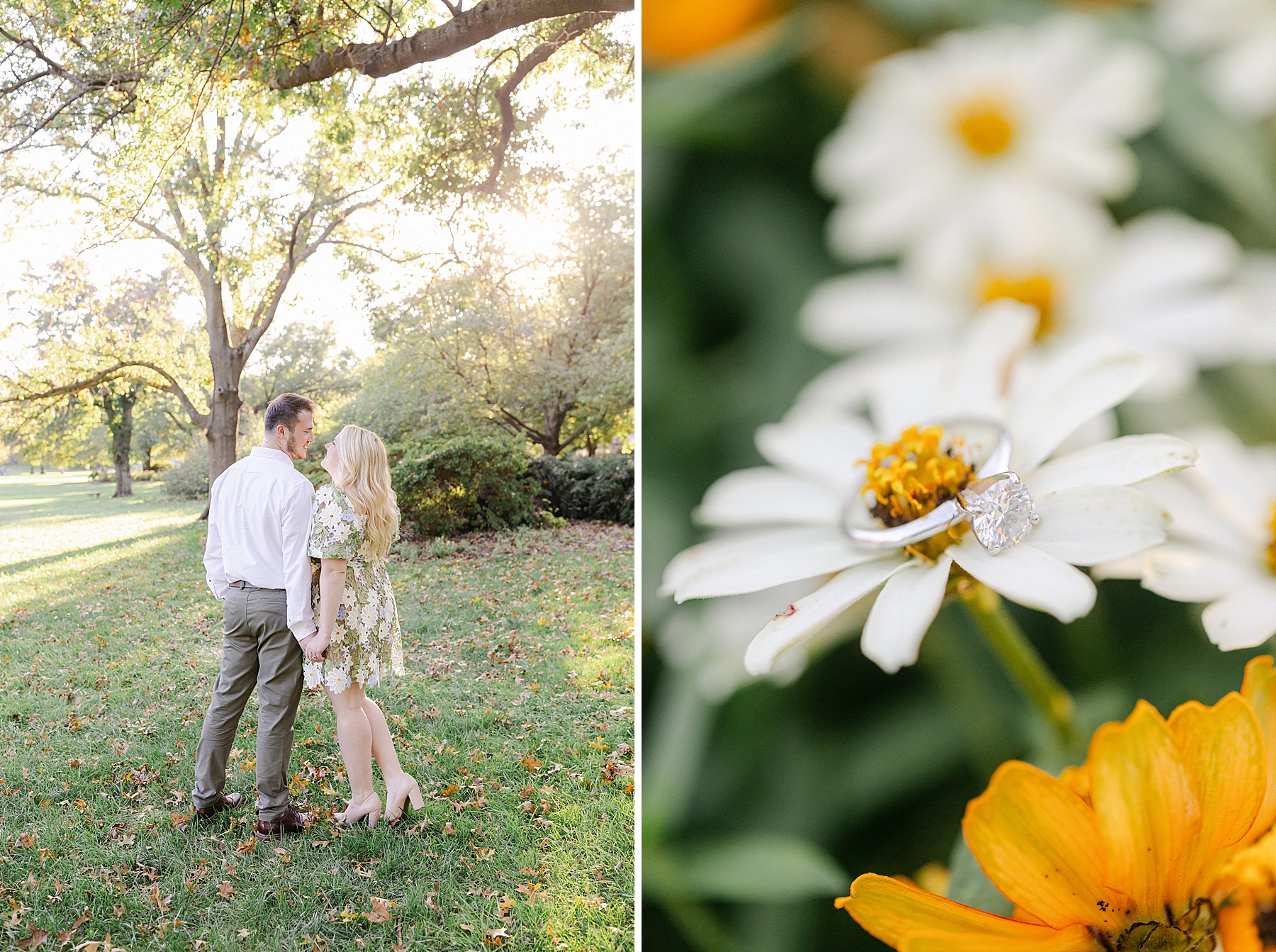 sherwood gardens baltimore engagement