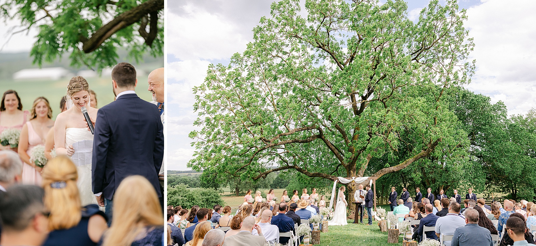 large tree ceremony site