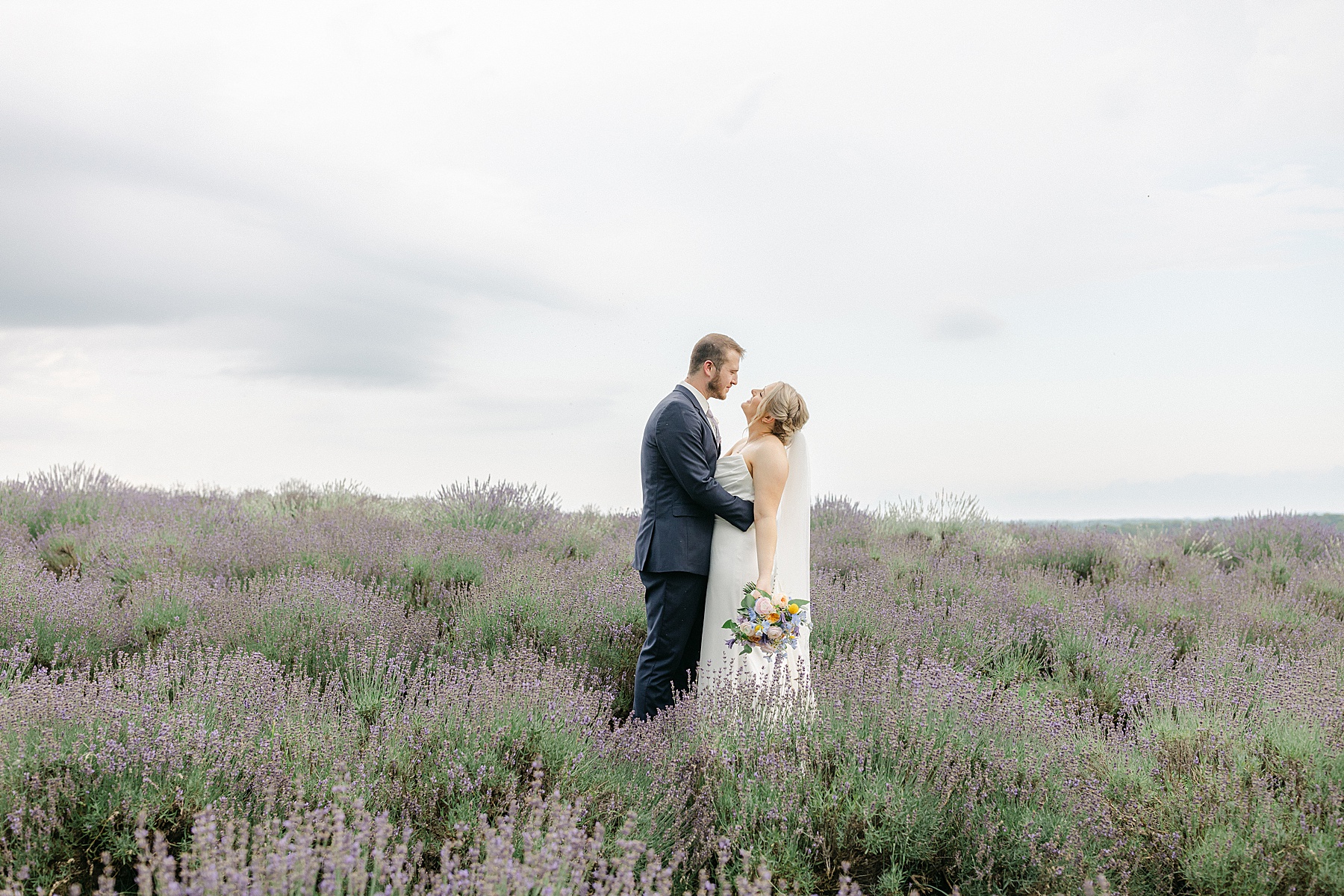 springfield manor lavender wedding photographer