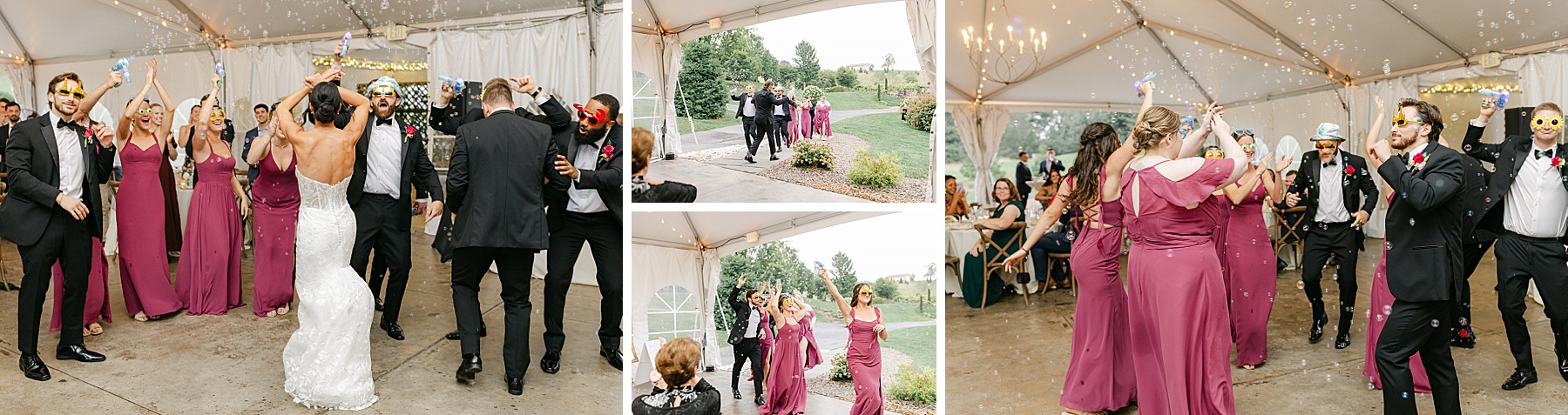 glen ellen farm tent reception frederick md wedding